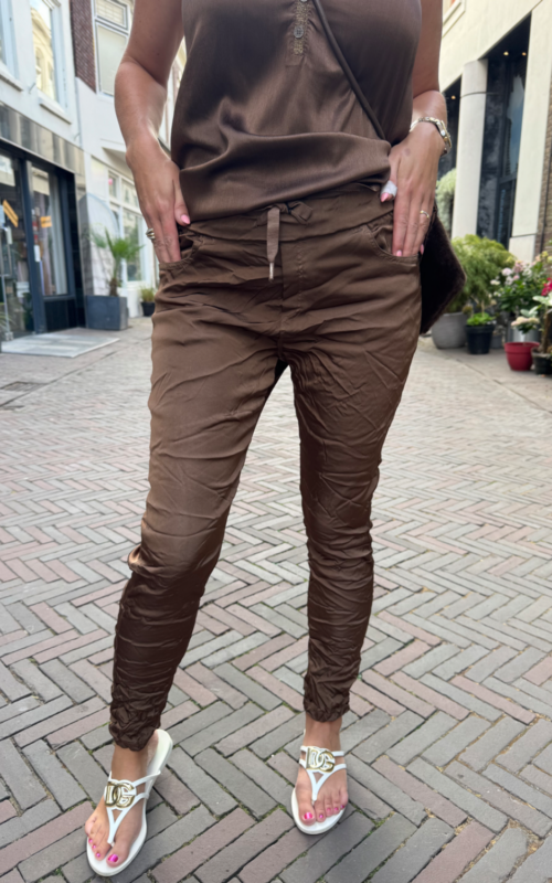 Linda Pants Shine Brown